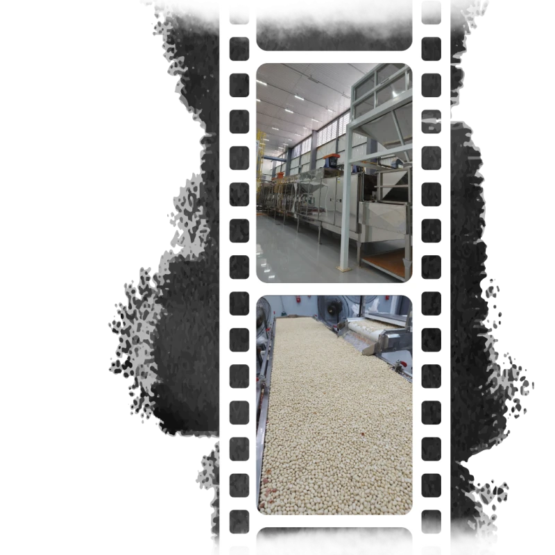 Novos mercados e grandes investimentos em tecnologia: